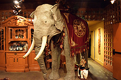 MICROSOFT AT THE RUINS